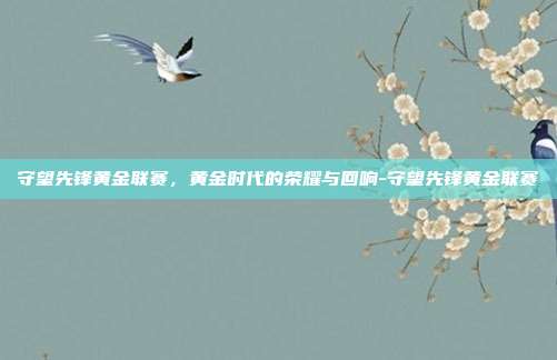 守望先锋黄金联赛,黄金时代的荣耀与回响-守望先锋黄金联赛