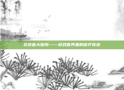 北京首大医院——游戏世界里的医疗奇迹