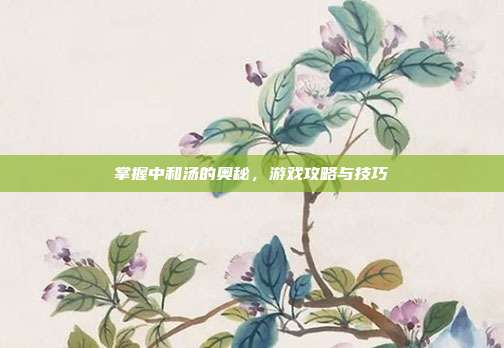 掌握中和汤的奥秘,游戏攻略与技巧