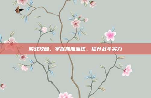 游戏攻略，掌握体能训练，提升战斗实力