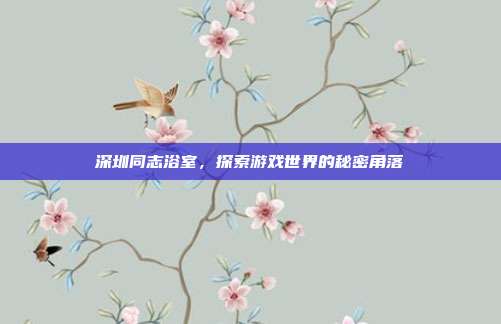 深圳同志浴室,探索游戏世界的秘密角落
