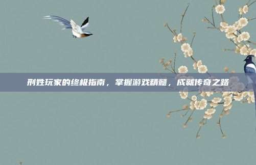 刑姓玩家的终极指南,掌握游戏精髓,成就传奇之路