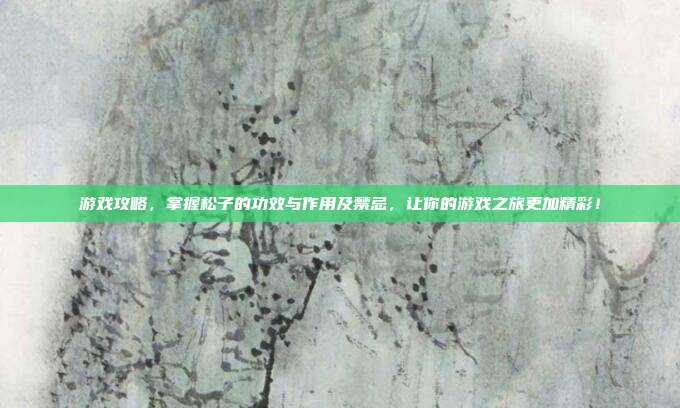 游戏攻略,掌握松子的功效与作用及禁忌,让你的游戏之旅更加精彩!