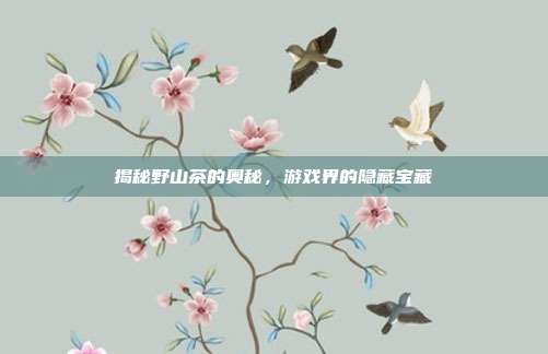 揭秘野山茶的奥秘，游戏界的隐藏宝藏