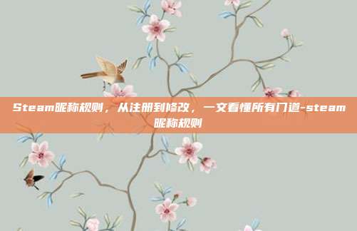 Steam昵称规则,从注册到修改,一文看懂所有门道-steam昵称规则