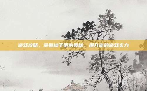 游戏攻略，掌握柿子蒂的奥秘，提升你的游戏实力
