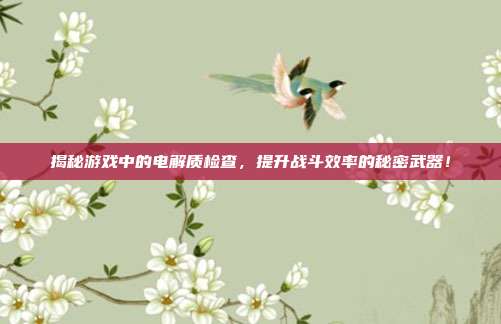揭秘游戏中的电解质检查,提升战斗效率的秘密武器!