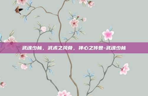 武魂少林,武术之风骨,禅心之传世-武魂少林