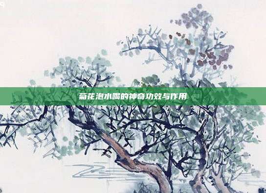 菊花泡水喝的神奇功效与作用
