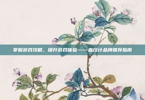 掌握游戏攻略，提升游戏体验——血压计品牌推荐指南