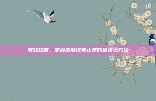 游戏攻略，掌握皮肤过敏止痒的最快土方法