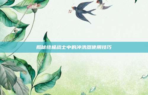 揭秘终极战士中的冲洗器使用技巧