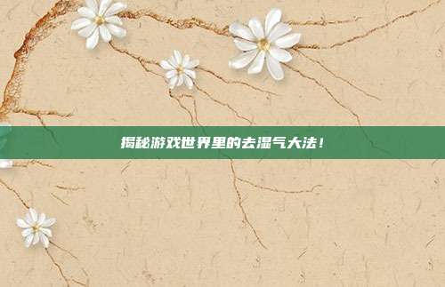 揭秘游戏世界里的去湿气大法！