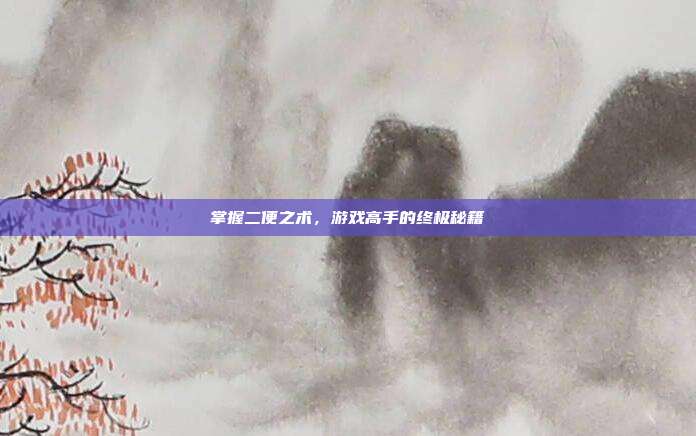 掌握二便之术,游戏高手的终极秘籍