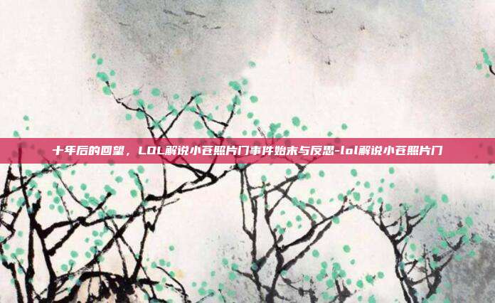 十年后的回望,LOL解说小苍照片门事件始末与反思-lol解说小苍照片门