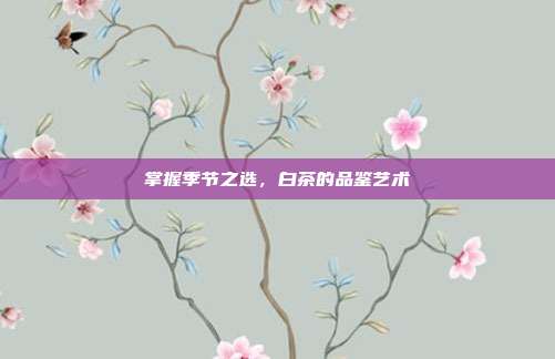 掌握季节之选,白茶的品鉴艺术