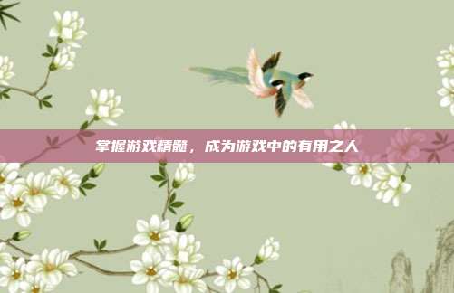 掌握游戏精髓,成为游戏中的有用之人