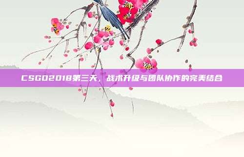 CSGO2018第三天,战术升级与团队协作的完美结合