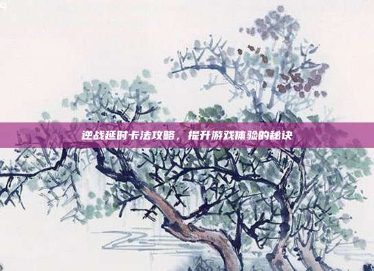 逆战延时卡法攻略，提升游戏体验的秘诀