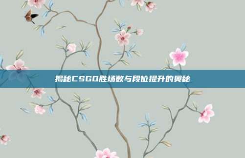 揭秘CSGO胜场数与段位提升的奥秘