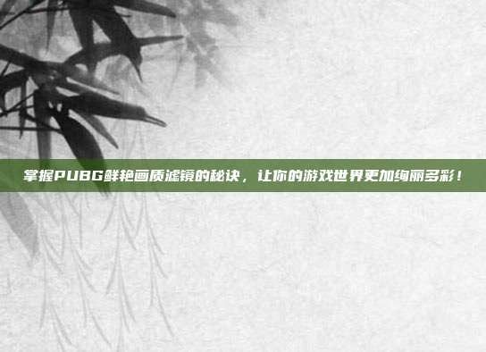 掌握PUBG鲜艳画质滤镜的秘诀，让你的游戏世界更加绚丽多彩！