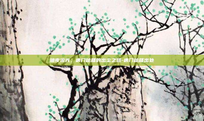 暗夜流光,唐门秘籍的出尘之路-唐门秘籍出处