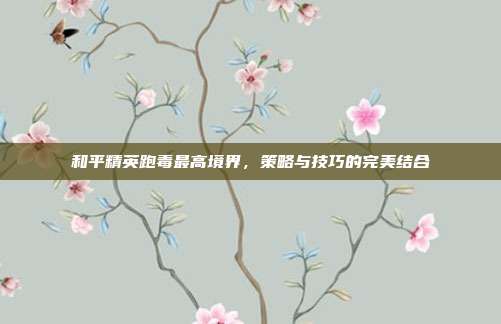 和平精英跑毒最高境界，策略与技巧的完美结合
