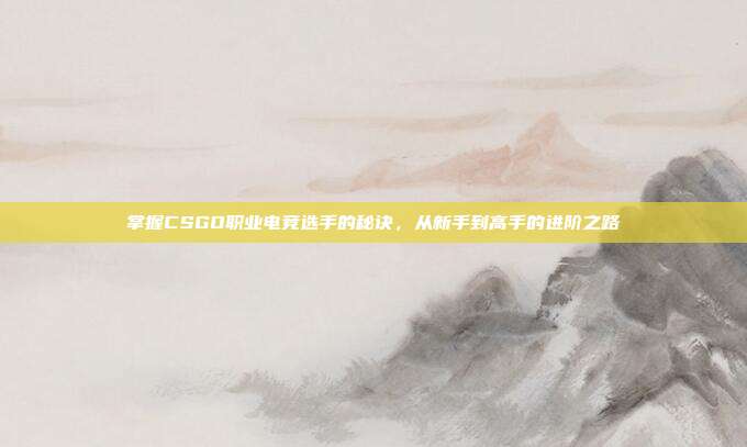 掌握CSGO职业电竞选手的秘诀,从新手到高手的进阶之路