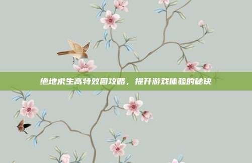 绝地求生高特效图攻略,提升游戏体验的秘诀