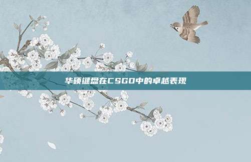 华硕键盘在CSGO中的卓越表现