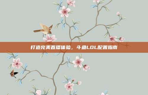 打造完美直播体验，斗鱼LOL配置指南
