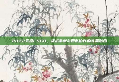 2022天禄CSGO,战术革新与团队协作的完美融合