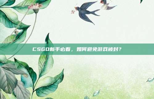 CSGO新手必看，如何避免游戏被封？