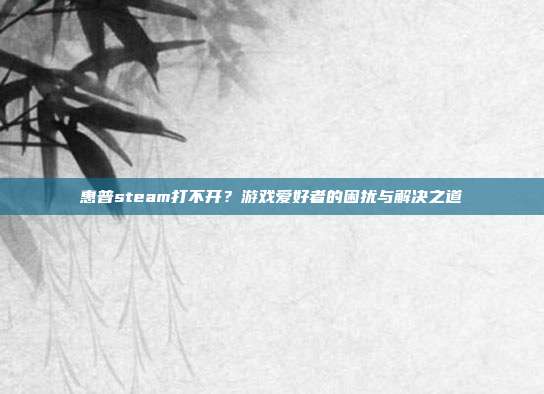 惠普steam打不开？游戏爱好者的困扰与解决之道