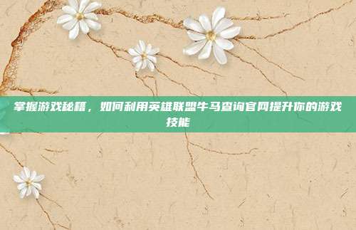 掌握游戏秘籍，如何利用英雄联盟牛马查询官网提升你的游戏技能