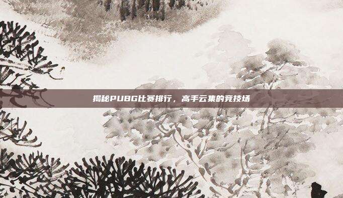 揭秘PUBG比赛排行，高手云集的竞技场