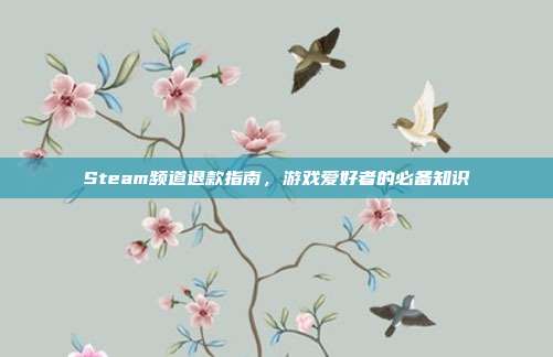 Steam频道退款指南,游戏爱好者的必备知识