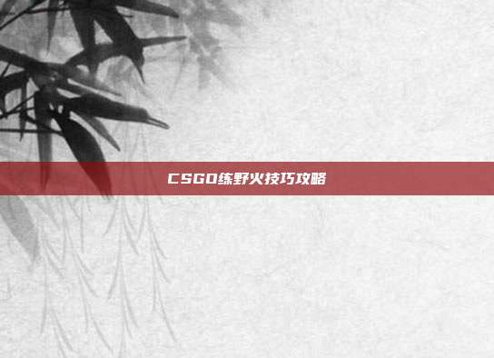 CSGO练野火技巧攻略