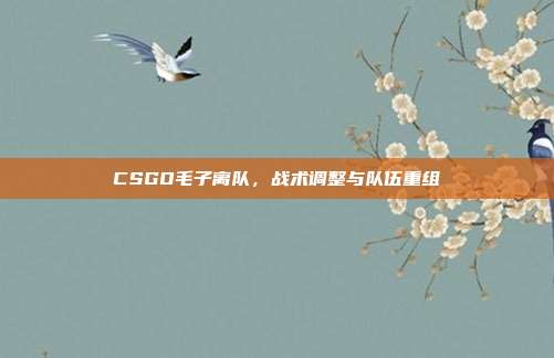 CSGO毛子离队，战术调整与队伍重组
