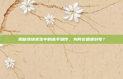 揭秘绝地求生中的高手操作,为何会遭遇封号?