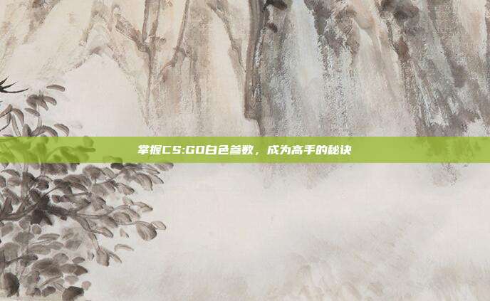 掌握CS:GO白色参数，成为高手的秘诀