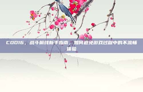 COD16,战斗前线新手指南,如何避免游戏过程中的不流畅体验