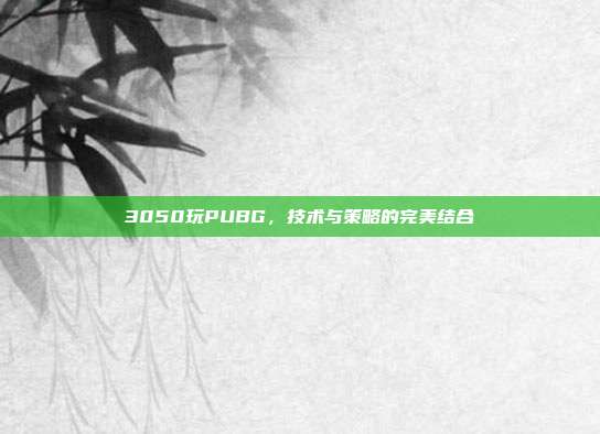 3050玩PUBG，技术与策略的完美结合
