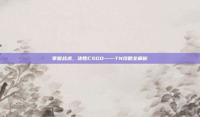掌握战术，决胜CSGO——TN攻略全解析