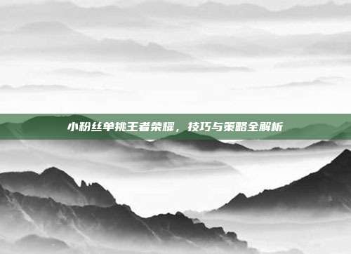 小粉丝单挑王者荣耀，技巧与策略全解析