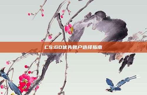 CS:GO优先账户选择指南
