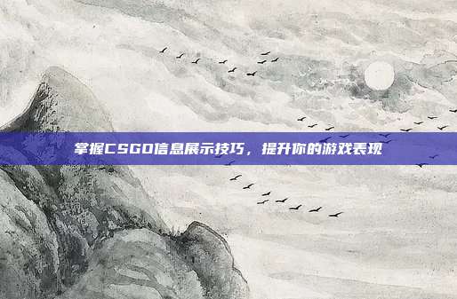 掌握CSGO信息展示技巧，提升你的游戏表现