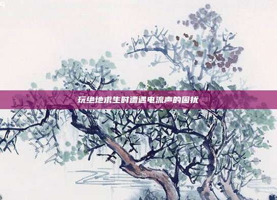 玩绝地求生时遭遇电流声的困扰
