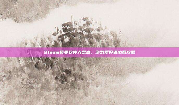 Steam最贵软件大盘点，游戏爱好者必看攻略
