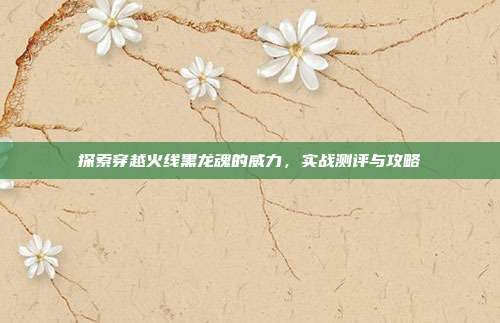 探索穿越火线黑龙魂的威力，实战测评与攻略